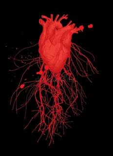 Red human