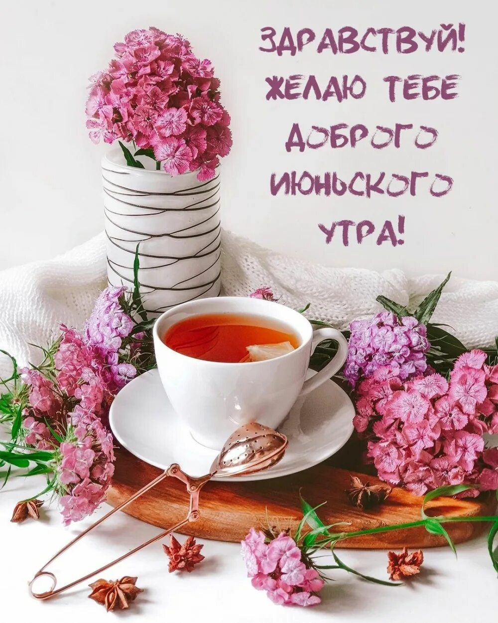 Доброе июньское утро 2024