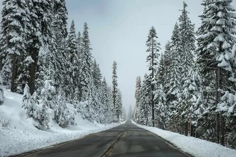 I winter