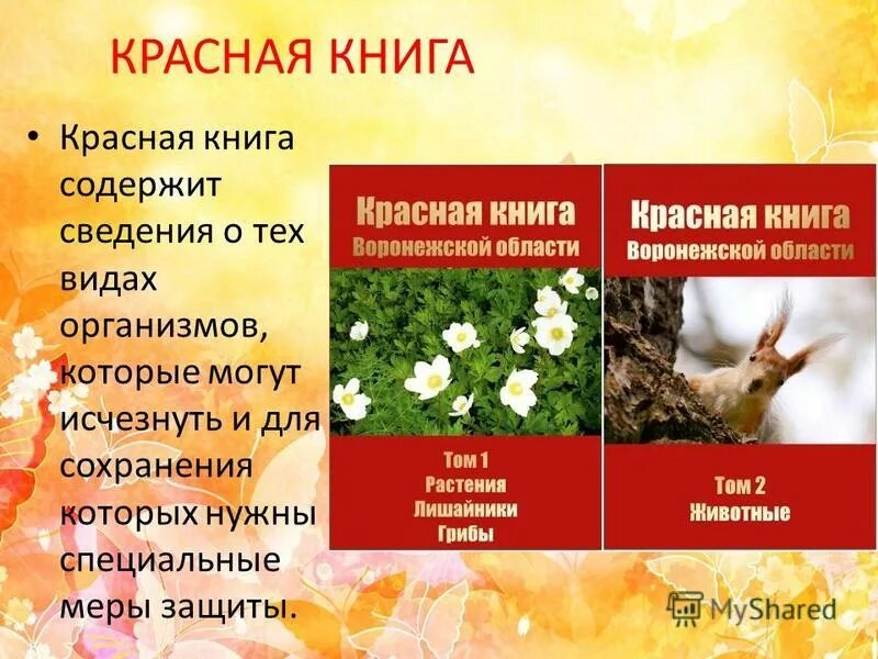 Презентации на тему Воронеж, Воронежская область к классному часу