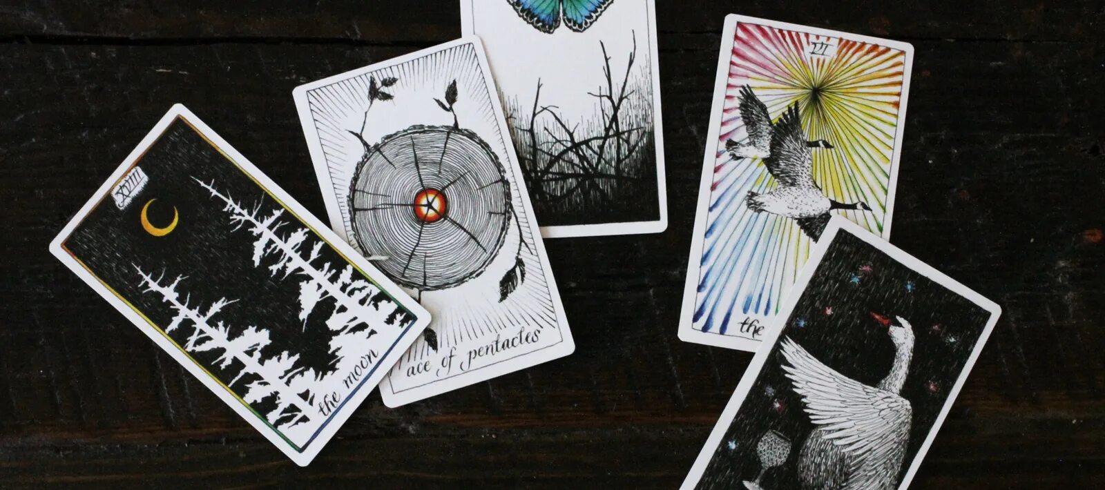 Дикое таро значение карт. Колода таро the wild unknown tarot. иерофант дикое неизвестное таро. дикая неизвестная колода таро. the wild unknown tarot галерея.
