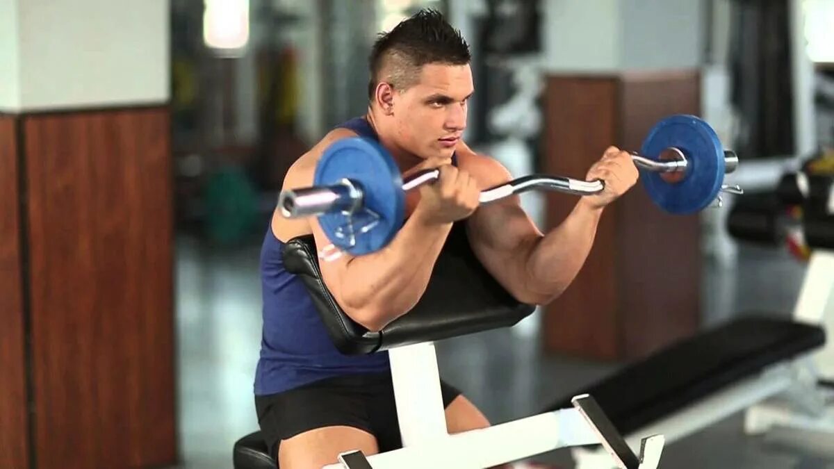 Подъем штанги на бицепс на скамье скотта. Гриф тренировочный. Идея для силовой тренировки. Приседания с грифом для ягодиц. Выпады с грифом на плечах.