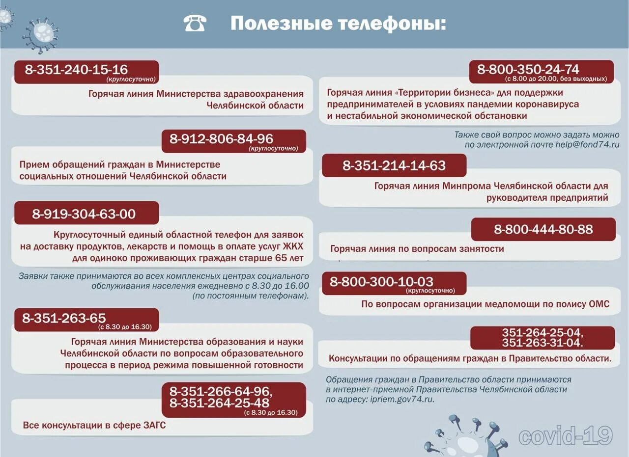 Полезные номера телефонов. Минздрав Челябинской области горячая линия. Единая горячая линия. Министерство здравоохранения Челябинской области горячая линия. Минздрав рф телефон горячей