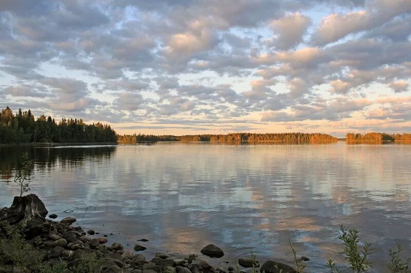 Озеро Водлозеро Водлозерский парк. Озеро Водлозеро Карелия. Ильинский Водлозерский Погост. Водлозерский парк Архангельск. Водлозерский парк сайт