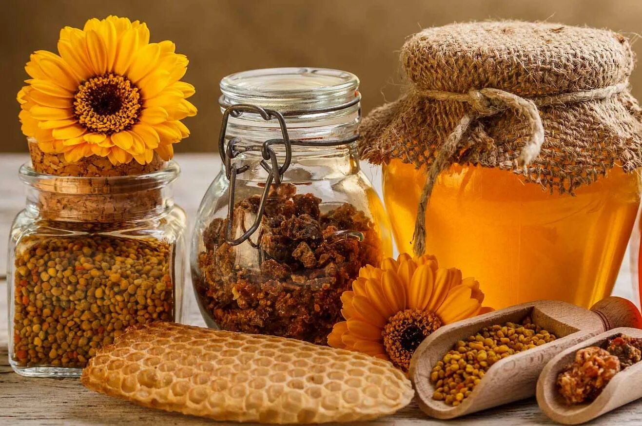Продукты пчеловодства. Баночка для меда. Выставка меда. Пыльца перга прополис. Пыльца, перга, воск в меде.