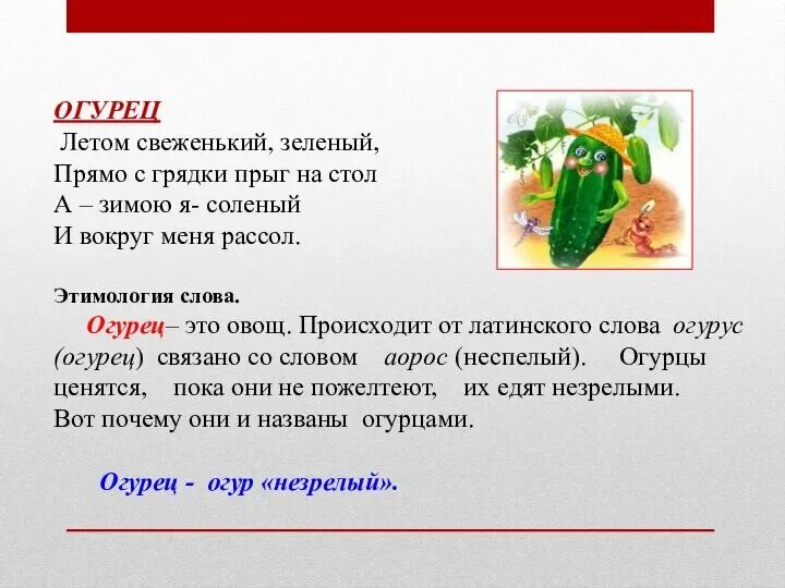 Этимология слова огурец. Огурец от какого слова произошло. Этимология слова огурец. Римский огурец. Этимология слова огурец.