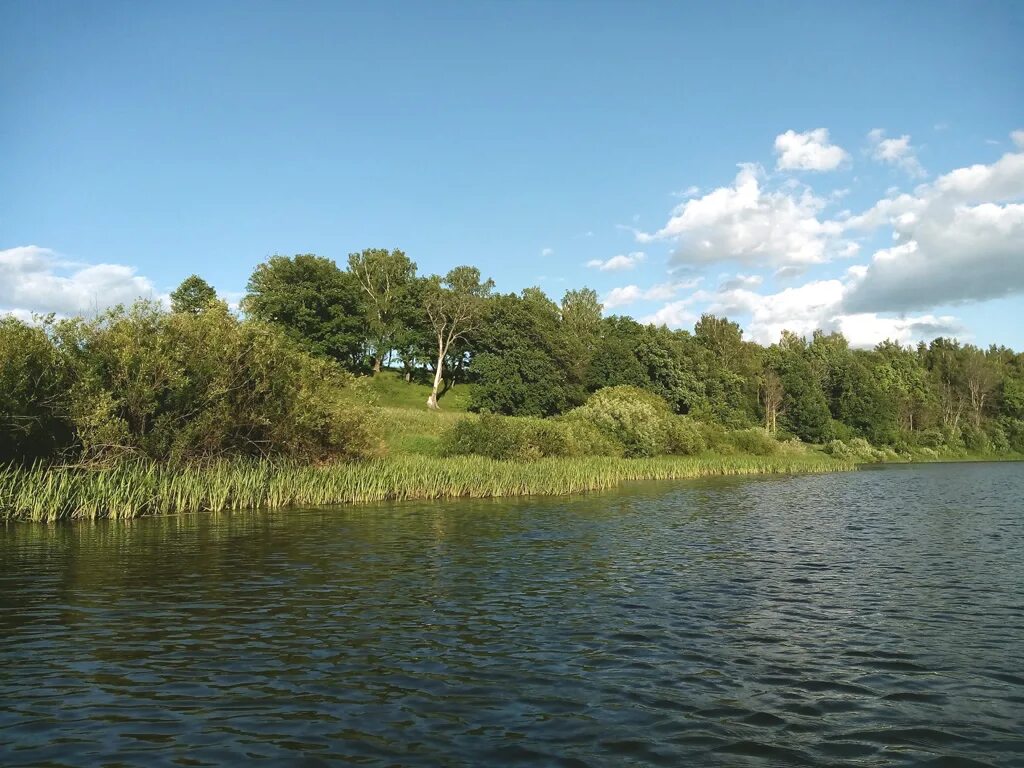 Река нерль клязьминская. Нерль (приток клязьмы). Притоки реки нерль. Река нерль ивановская область. Нерль (приток клязьмы).