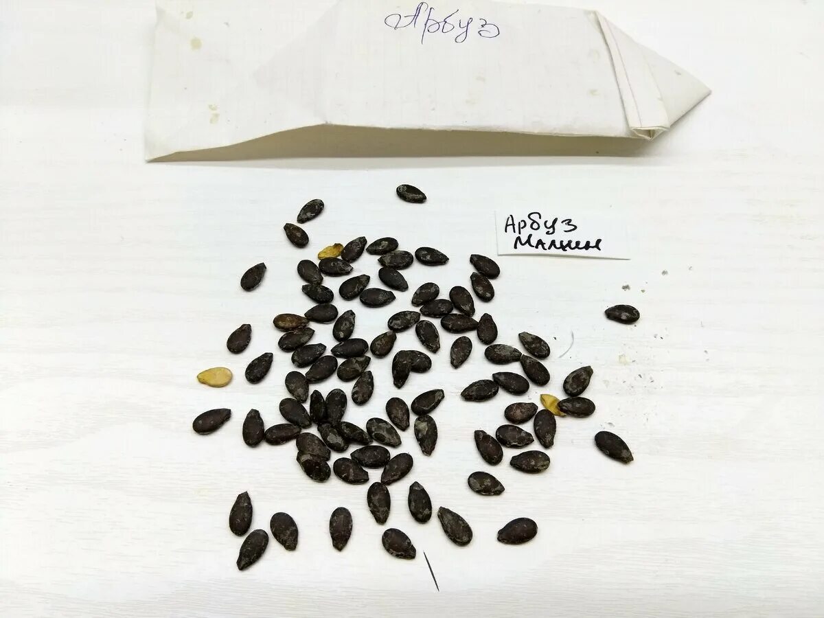 Стручок кардамона. Черное семечко внутри. Черный тмин (семена лука калонджи) east end, 100гр. Черные семена. Семена черные крупные.