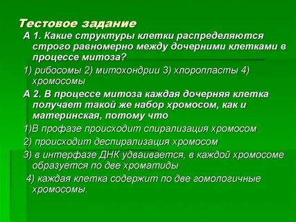 Претерпевает большие изменения