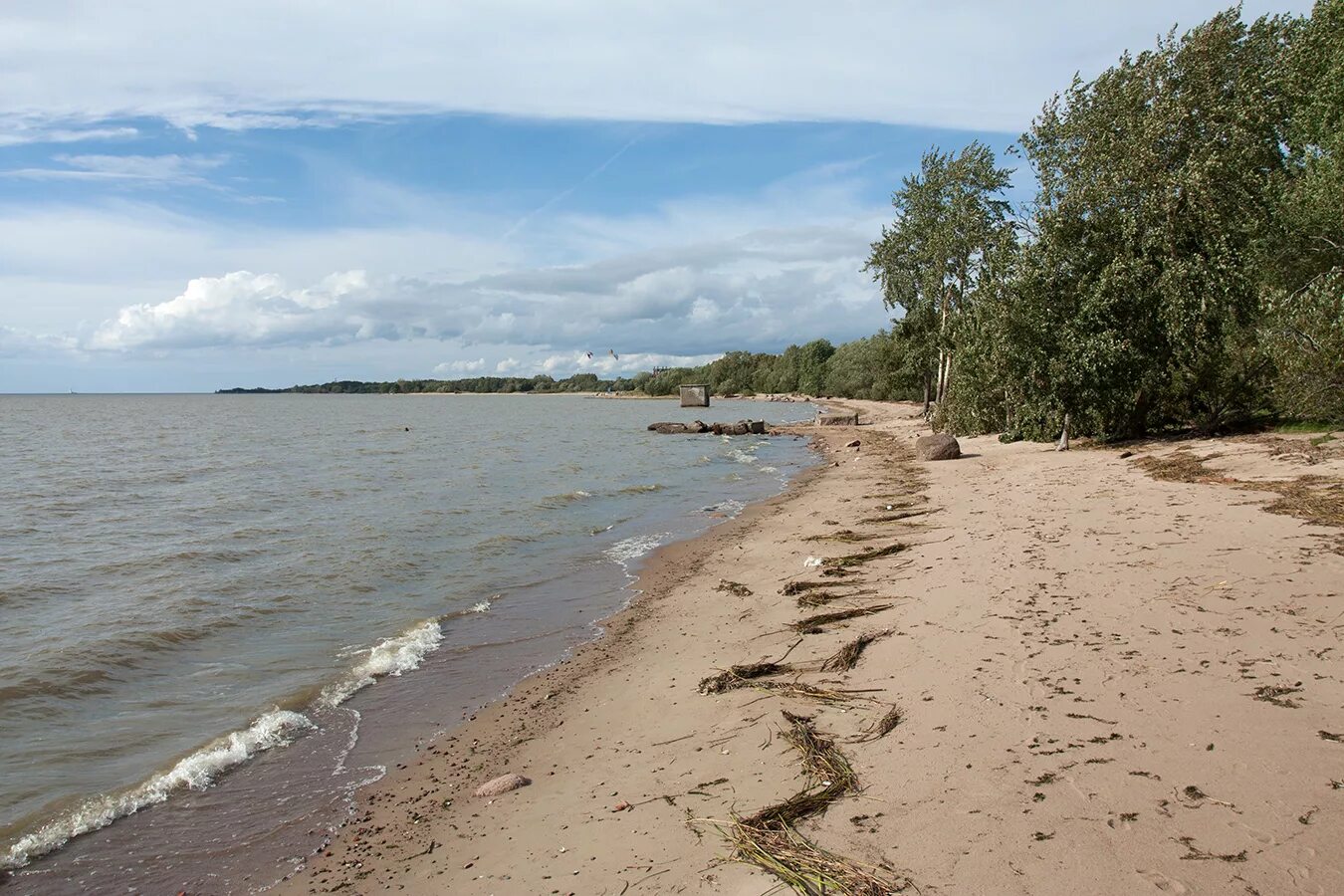 Пляж в кронштадте. Западный котлин кронштадт пляж. остров котлин кронштадт пляж. пляж риф кронштадт. заповедник котлин кронштадт.
