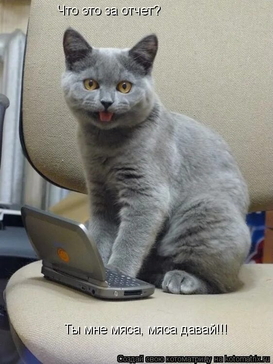 Хочу работать. Не хочу работать юмор. Работу работаю. Высказывания про работу и отдых. Как заставить себя работать картинки.