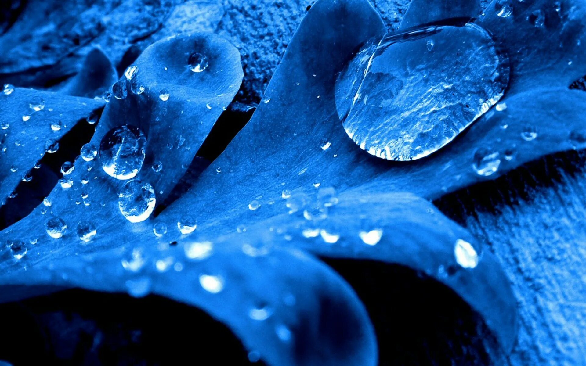 Макросъемка воды. Красивый синий цвет. Капли воды. Синие обои.