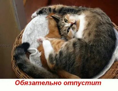 Р мур