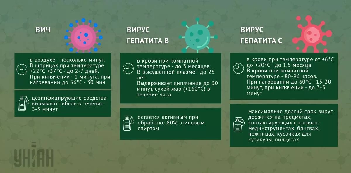 Вирус гибнет. Условия жизни вирусов. Вирус вне организма. Срок жизни вируса. На каких поверхностях живет вирус.