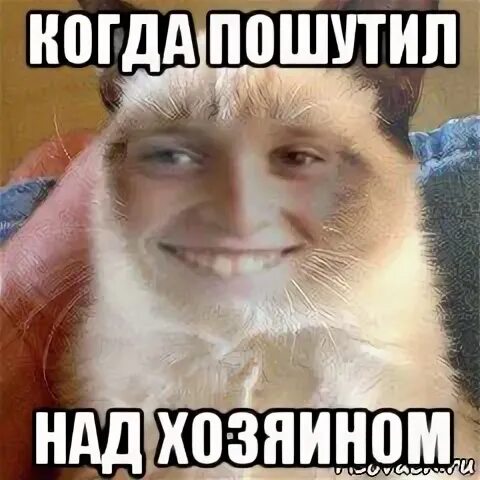 Хозяин х