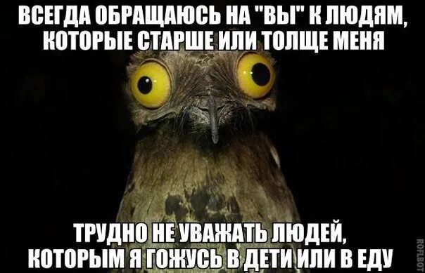 Всегда обращайтесь помогу. Всегда рады обращайтесь. Обращайтесь всегда рады помочь. Всегда обращайтесь. Всегда рада помочь.