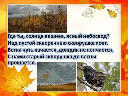 Песенка осень непогодушка тополь пожелтел
