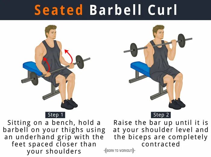 Проверить curl. Barbell Curls Seated. Barbell Curl. Barbell biceps Curl. Incline Barbell Curl.