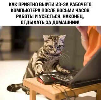 Отдохну наконец