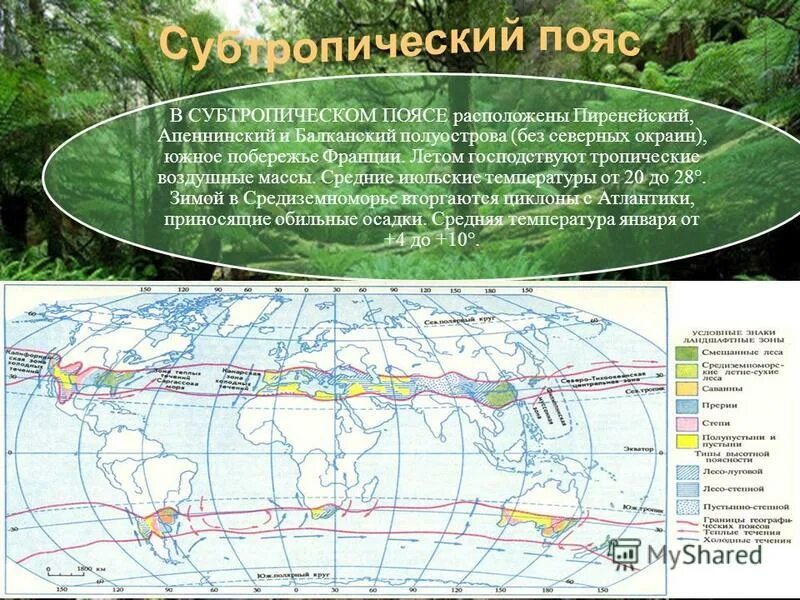 Воздушные массы субтропического пояса. Тропические воздушные массы. Воздушные массы субтропического пояса России. Лето в субтропическом поясе.