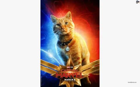 Goose is Captain Marvel`s cat in Captain Marvel.