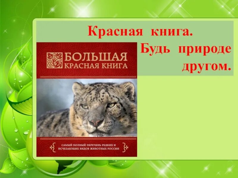 Красная книга природы. Красная книга презентация. Будь природе другом. Организм красной книги