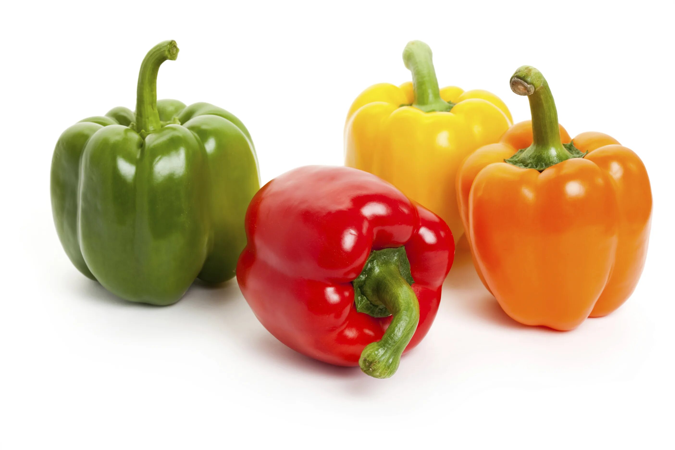 Www pepper. Болгарский капсикум перец. Перец Capsicum annuum сладкий. Перец болгарский разноцветный. Овощи болгарский перец.