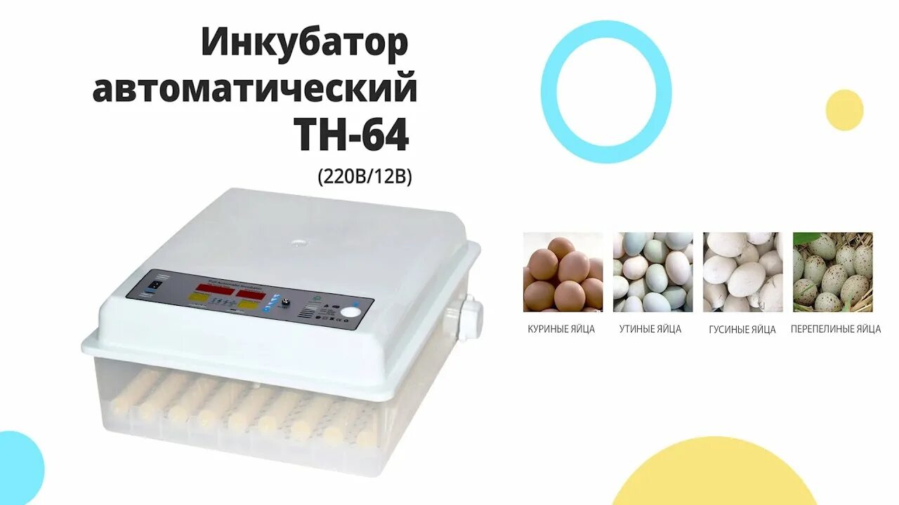 Инкубатор мс. Инкубатор автоматический wq-24. инкубатор автоматический sititek 96. инкубатор для яиц автоматический модель &quot;sititek - 64. инкубатор для яиц мс64.
