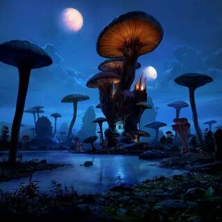 Legend of mushroom на пк