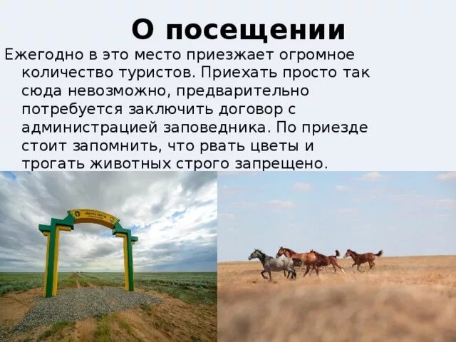 Сообщение о заповеднике черные земли. Проект заповедник черные земли 4 класс окружающий мир. Заповедник чёрные земли где находится. Заповедник чёрные земли республика калмыкия. Климат заповедника черные земли.