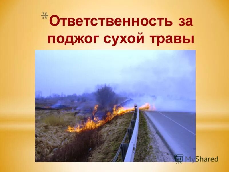 Административная ответственность за сжигание сухой травы. Меры пожарной безопасности с наступлением весенне-летнего периода. Ответственность за нарушение правил пожарной безопасности. Картинки поджог травы запрещен законом. Порядок использования открытого огня и разведения костров.