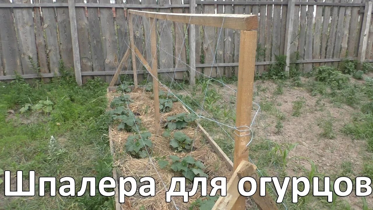 Приспособление для огурцов. Шпалера для огурцов. подпорки для огурцов. шпалера деревянная для огурцов. подпорки для огурцов в открытом грунте своими.