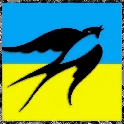 Чат ласточка. Чат ласточка. Баннер ласточка для магазина. Ласточка логотип. Ласточка лого вектор.