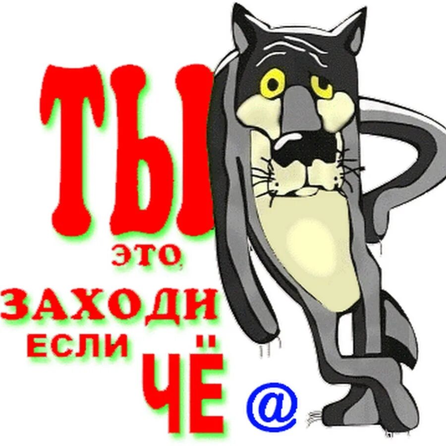 Как написать заходи. Волк заходи если что. Ты заходи если че. Волк ты заходи если что. Ну ты это заходи если что.