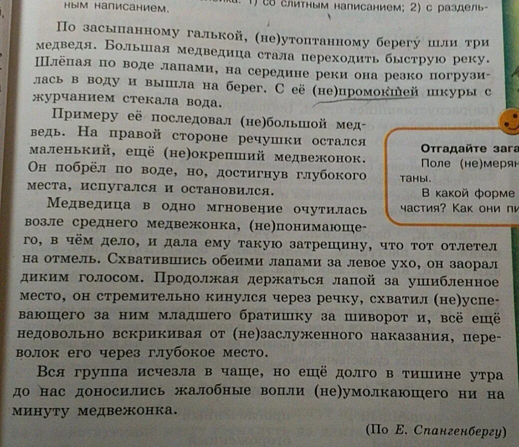 Сочинение о посещении зоопарка. Краткое сочинение на тему. Сочинение на любую тему. Небольшое сочинение. Маленькое сочинение.