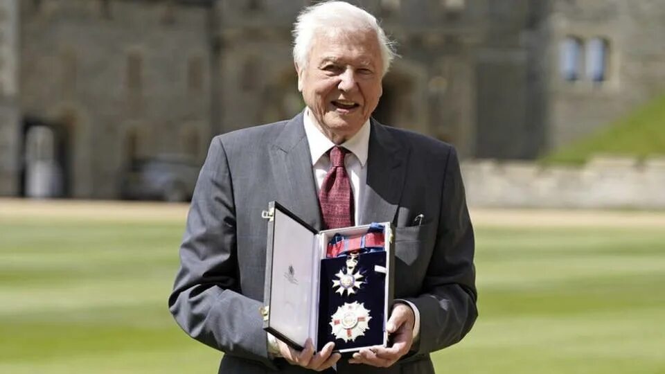Sir david. Дэвид аттенборо. sir david attenborough.