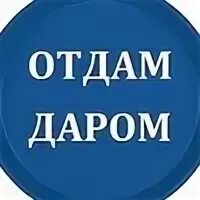 Посмотри отдам