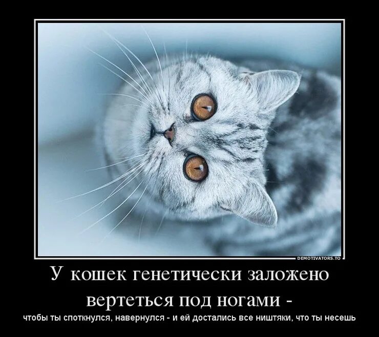 Как все навернулось