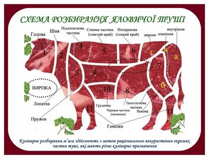 Туши коровы