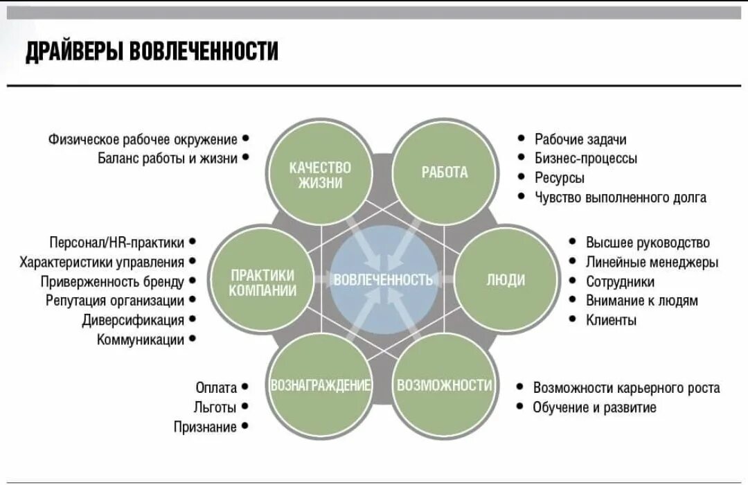 Верный отдел развития. Факторы влияющие на вовлеченность персонала. Методы оценки вовлеченности персонала. Вовлеченность сотрудников схема. Факторы вовлеченности персонала в организационные.
