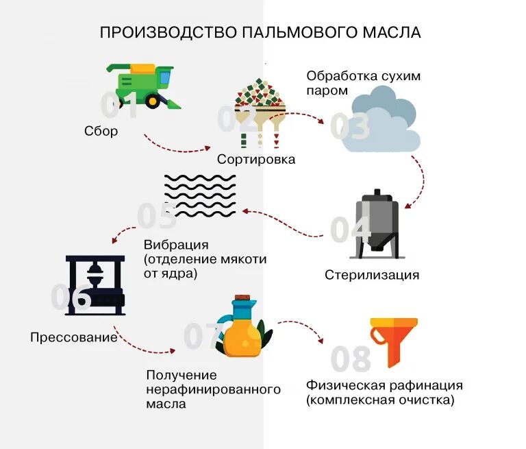 Где производят пальмовое масло. Технология производства пальмового масла. Пальмовое масло вредно. Откуда берется пальмовое масло. Пальмовое масло в еде.