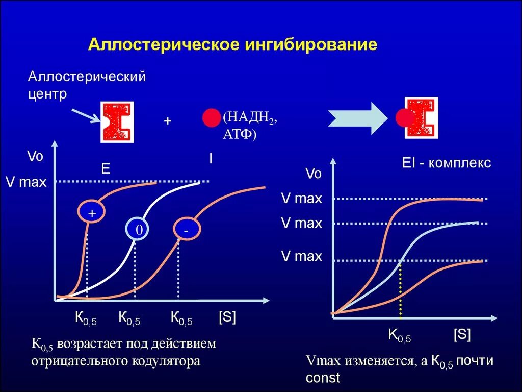 Ингибирование ферментативной реакции. Активация ферментативной реакции кинетика. кинетика аллостерических ферментов. аллостерическая активация ферментов. аллостерическая регуляция атф.
