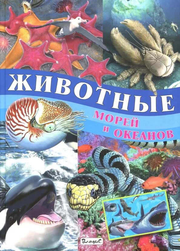 Книга морские обитатели. Обитатели морей и океанов книга. Обитатели морей и океанов для детей. Книжки про морских обитателей.