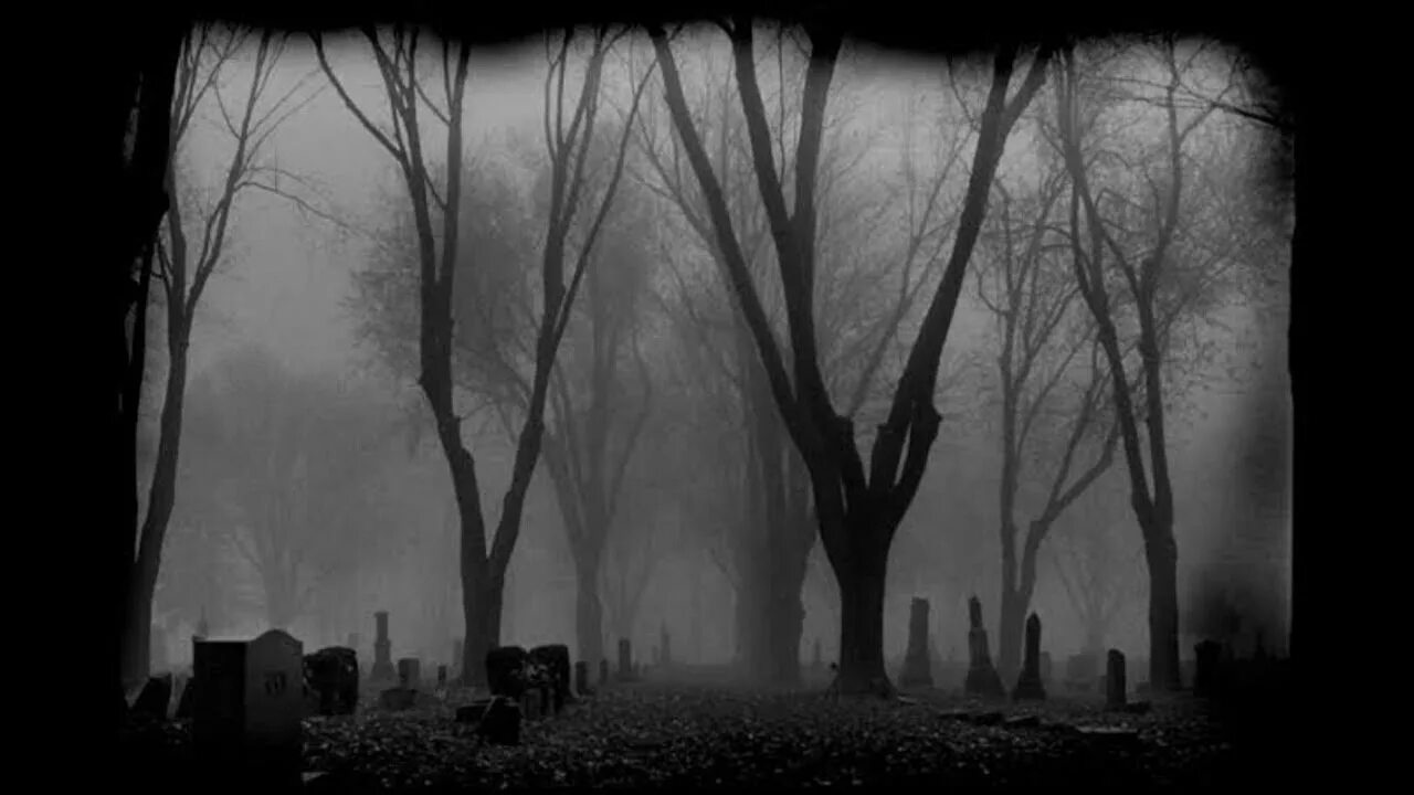 Meet you at the graveyard sovan truong. Мрачное кладбище. Кладбище в тумане. Кладбище ночью туман. Мрачное кладбище с деревьями.