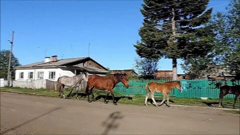 Песни деревенька за горой