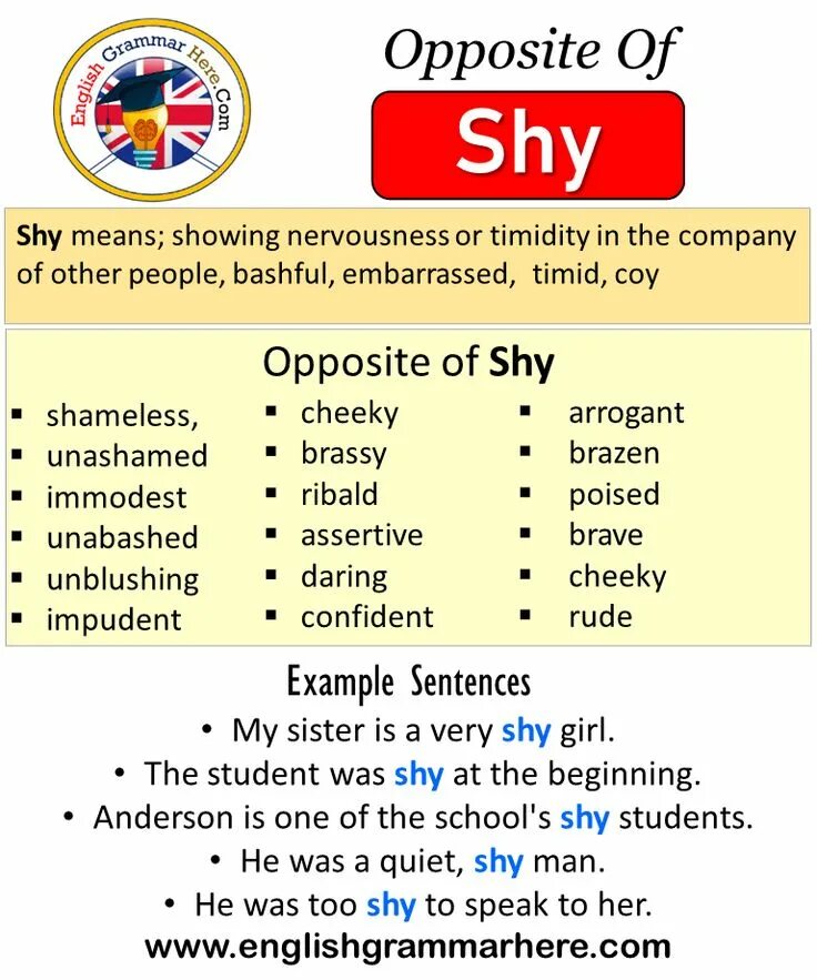 Shy meaning