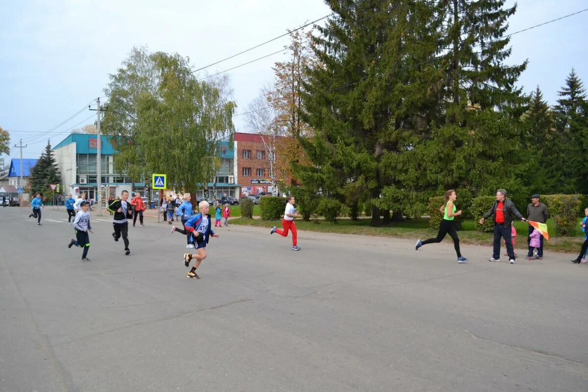 Погода шахунья на 10 дней точный