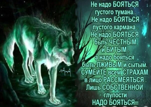 Стих не надо бояться густого тумана не надо бояться пустого кармана. Не надо бояться густого тумана не надо бояться пустого кармана текст. Стих не надо бояться густого тумана. Не надо бояться пустого кармана стих.