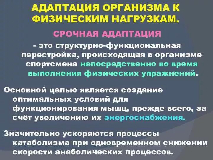 Адаптация к физическим нагрузкам. Процесс адаптации к физическим нагрузкам. Адаптация человеческого организма к физическим нагрузкам. Фазы адаптации организма к физическим нагрузкам.