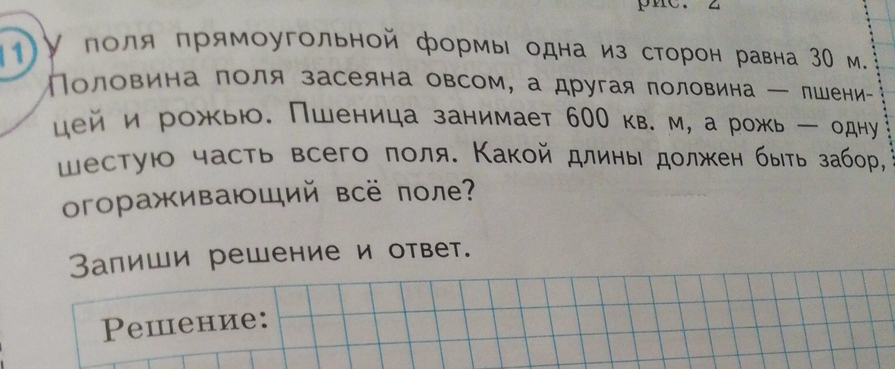 Поле прямоугольной формы засеяно пшеницей длина. Половина поля засеяна овсом а другая. Решение к задачи половина поля засеяна овсом. Задача 4 класс половина поля засеяна овсом. Решение задачи половина поля.